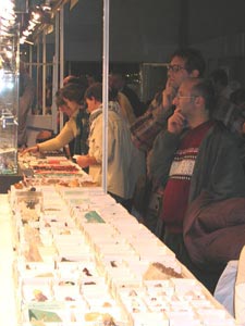 Expominer 2004