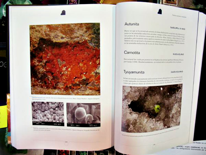 expo/Mineralexpo/2008/minerales_de_aragon.jpg