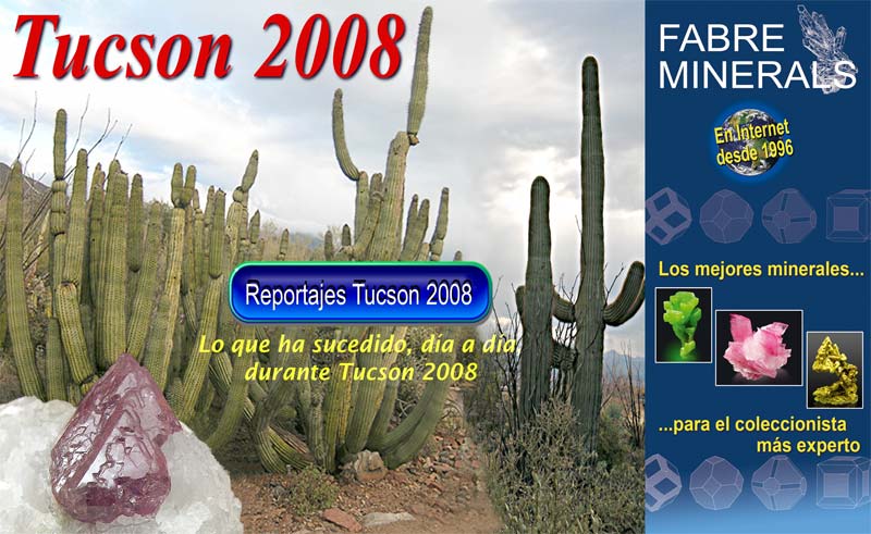 Tucson 2008