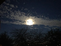 Tucson's Moon - 2020