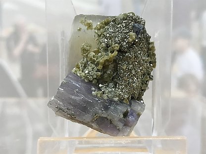 Fluorapatite with Siderite and Pyrite.
