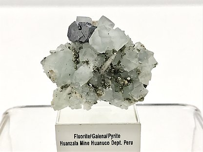 Fluorite (octahedral) with Galena, Calcite and Pyrite.