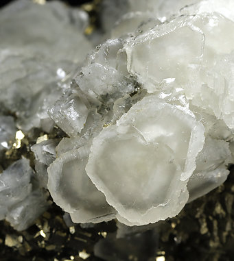 Pyrite with Marcasite, Calcite and Muscovite. Photo: Joaquim Calln
