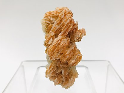 Mimetite (variety Chromium-rich) on Cerussite. Front