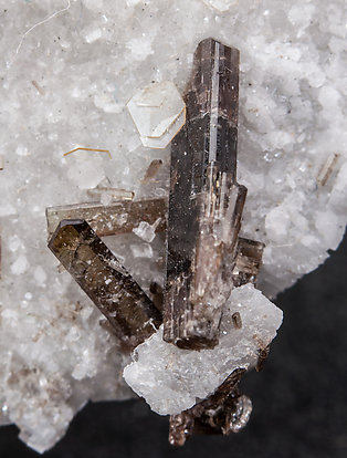 Dissakisite-(Ce)/Allanite-(Ce) with Hydroxylbastnsite-(Ce) and Dolomite. 