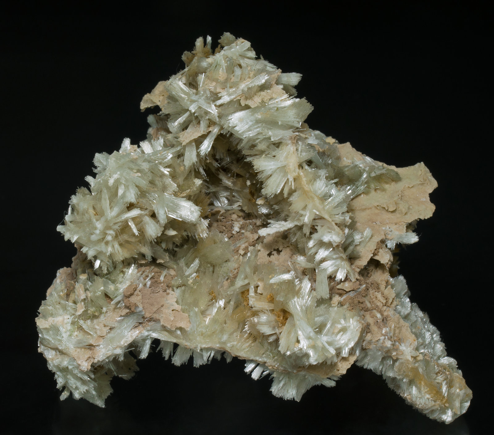specimens/s_imagesAA1/Pectolite-ED86AA1f.jpg