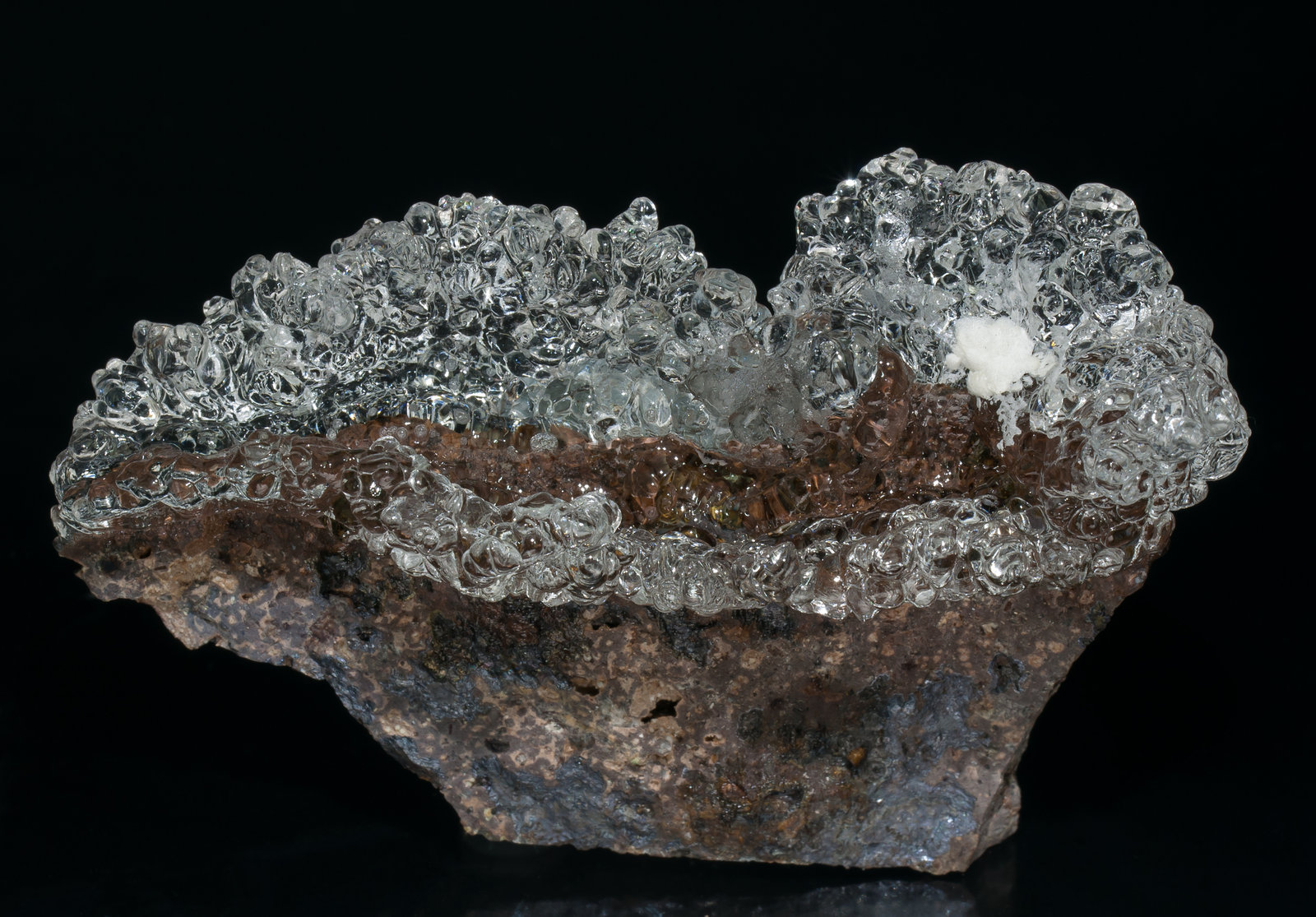 specimens/s_imagesAA6/Opal_hyalite-MD48AA6f.jpg