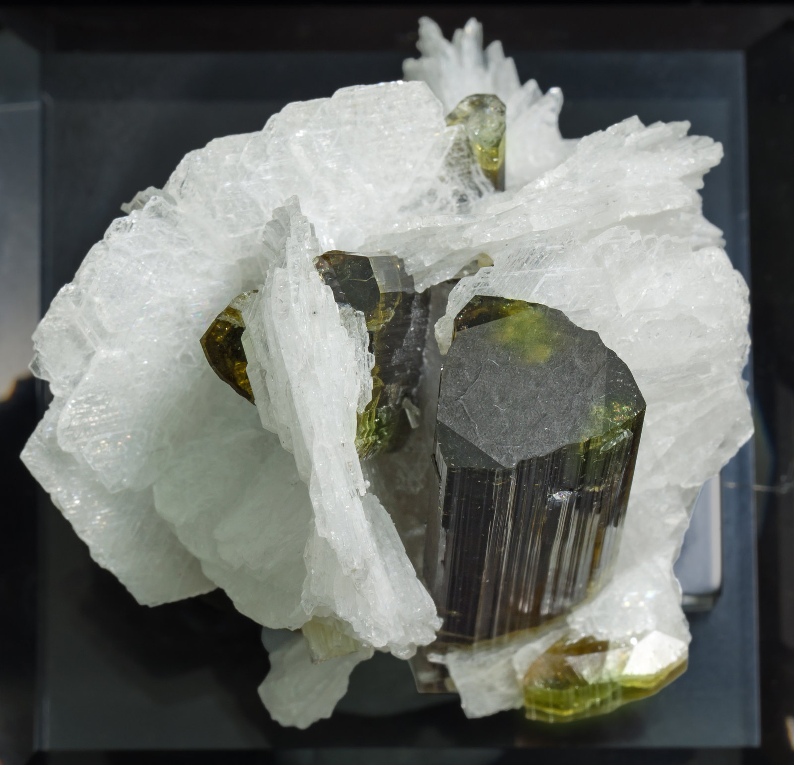 specimens/s_imagesAA8/Elbaite-MZ47AA8t.jpg