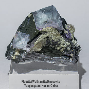 Fluorite with Ferberite and Muscovite.