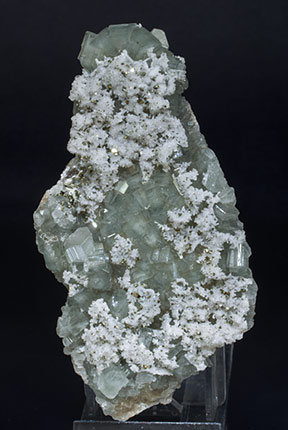 Fluorapatite with Quartz and Pyrite.