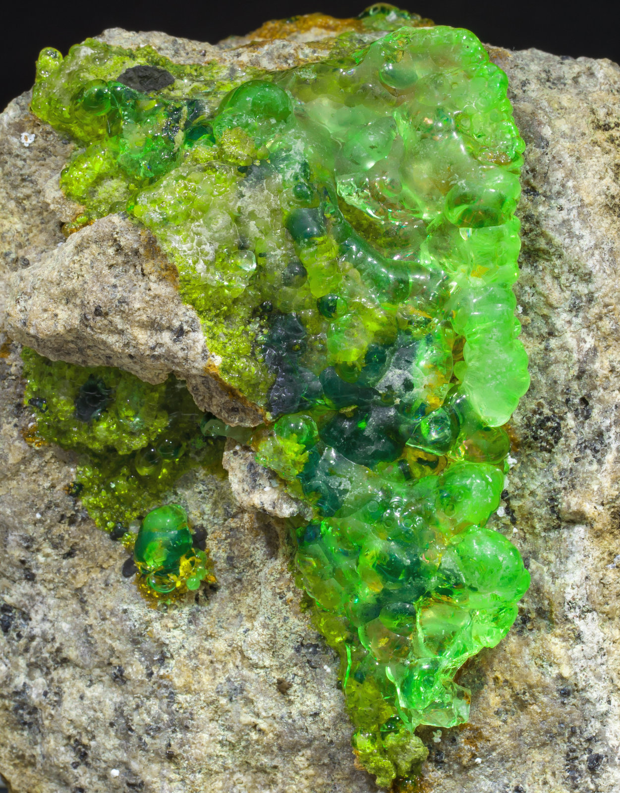specimens/s_imagesAC6/Opal_hialite-TF66AC6d2.jpg