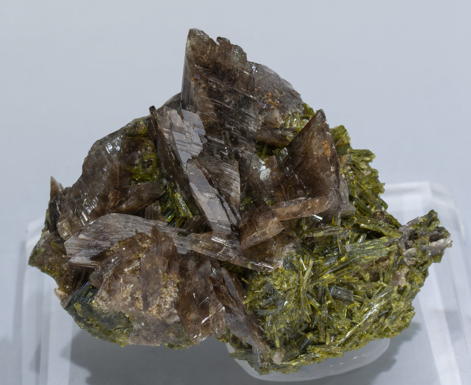 specimens/s_imagesAD1/Axinite-TF89AD1f.jpg