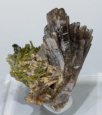 Axinite-(Mn) with Epidote. Front