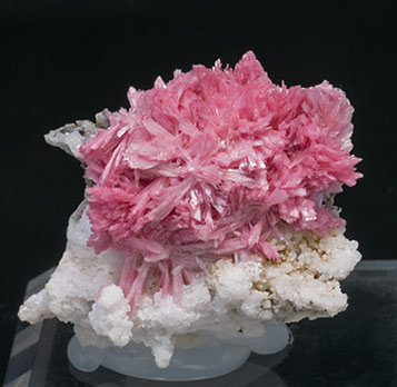 Rhodonite with Calcite. 