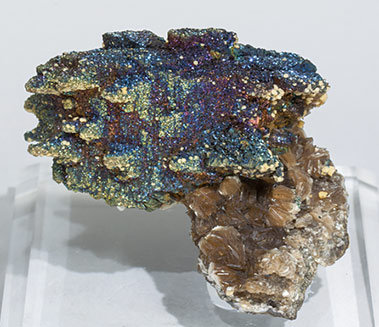 Arsenopyrite with Pyrite and Muscovite.