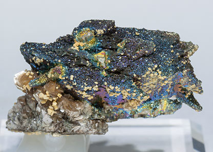Arsenopyrite with Pyrite and Muscovite. Top