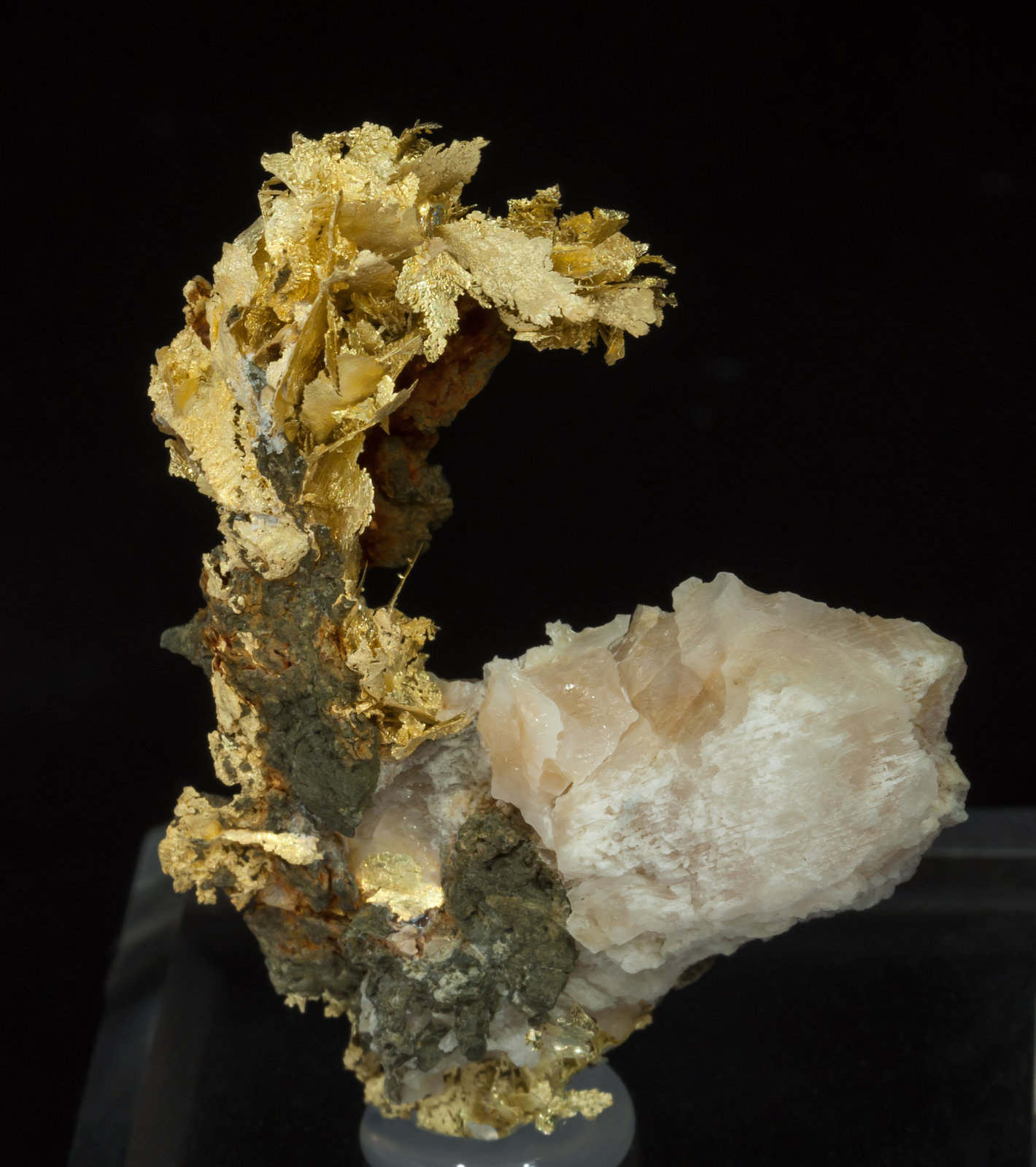 specimens/s_imagesAD5/Gold_electrum-TF67AD5f.jpg