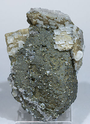 Stannite with Chalcopyrite, Pyrite, Marcasite, Siderite and Calcite. 