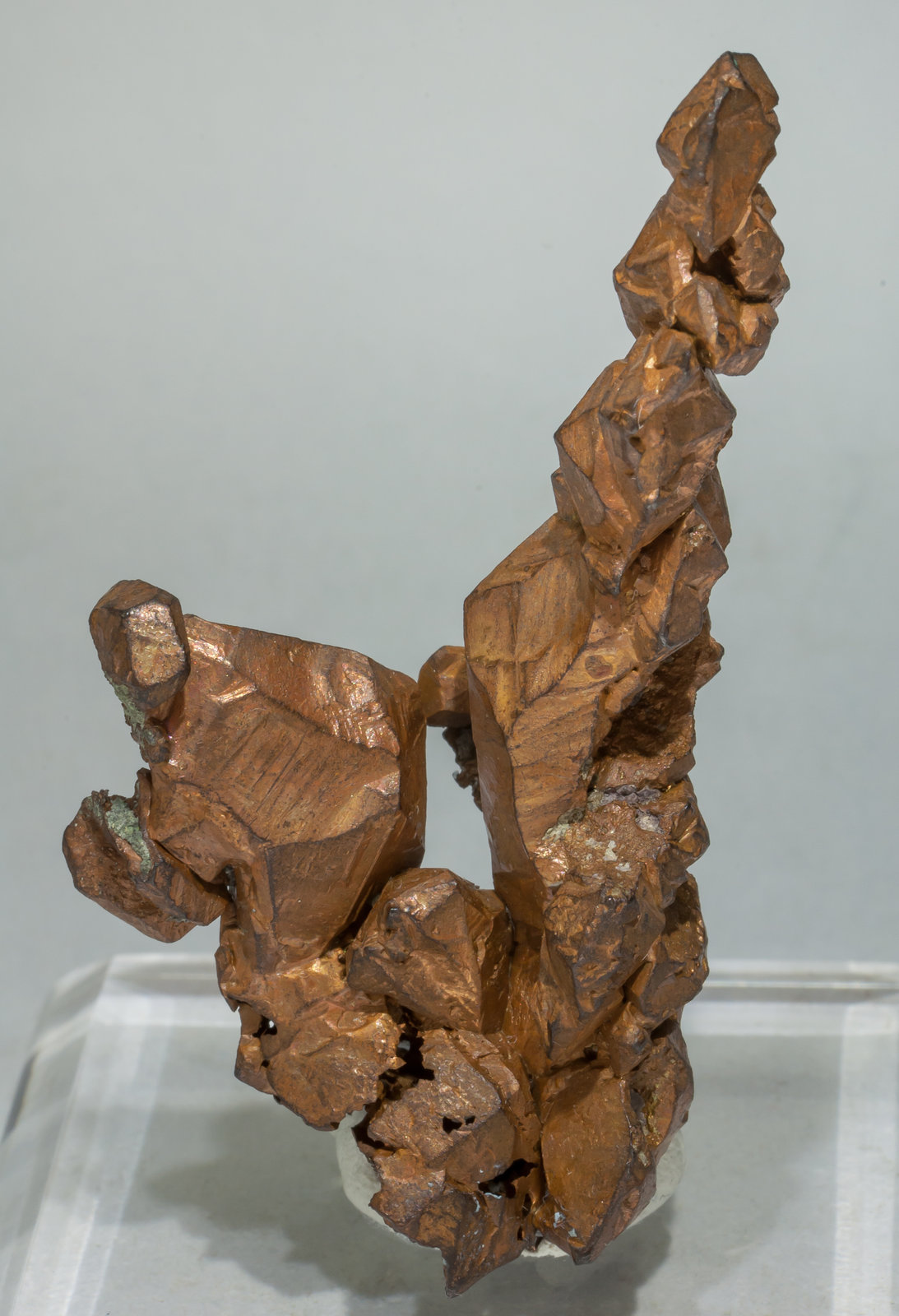 specimens/s_imagesAE4/Copper-LX69AE4f.jpg
