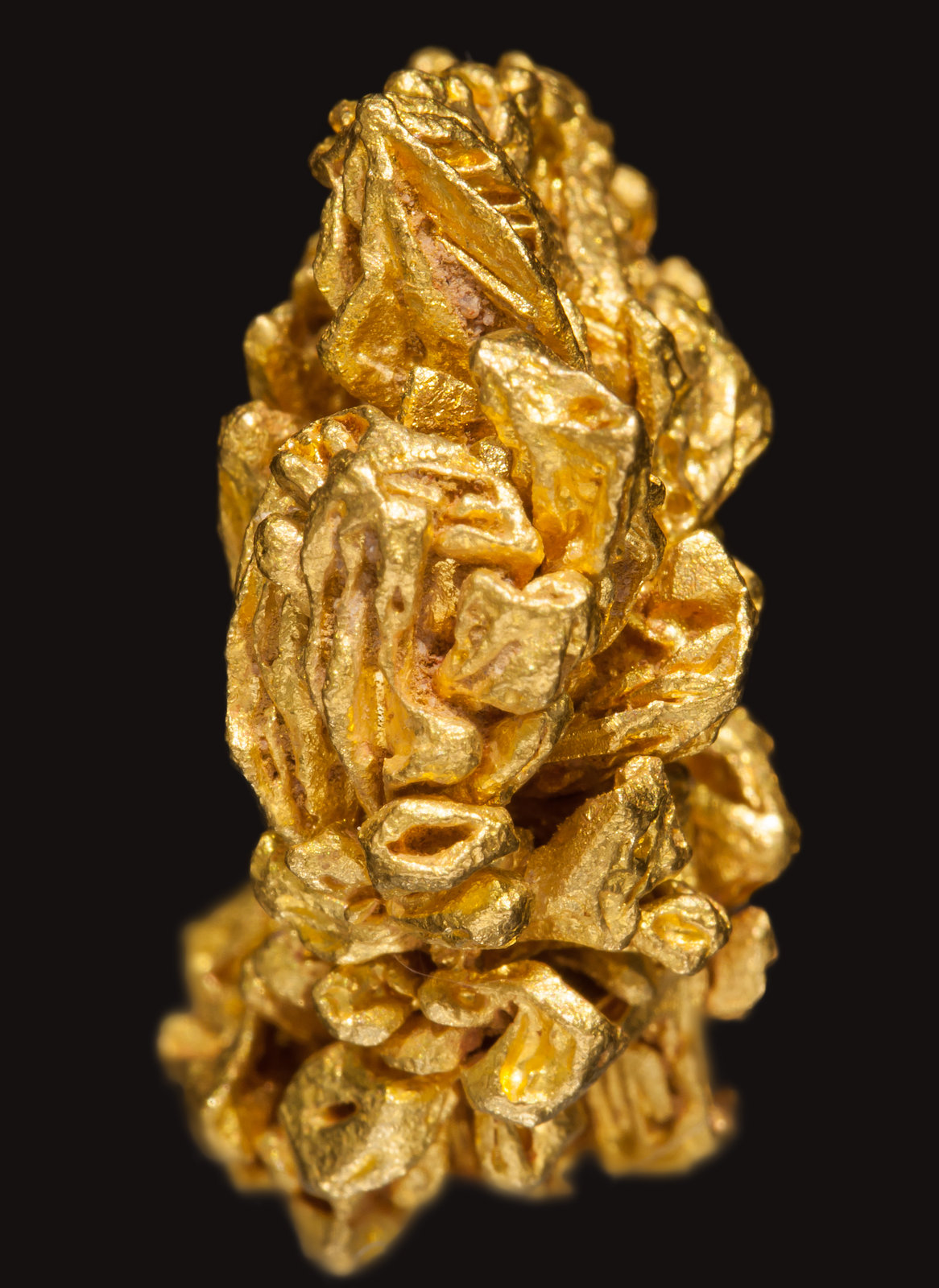 specimens/s_imagesAE5/Gold-EE97AE5s.jpg