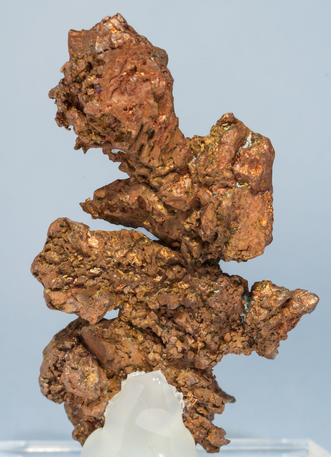 specimens/s_imagesAE8/Copper-TA76AE8r.jpg