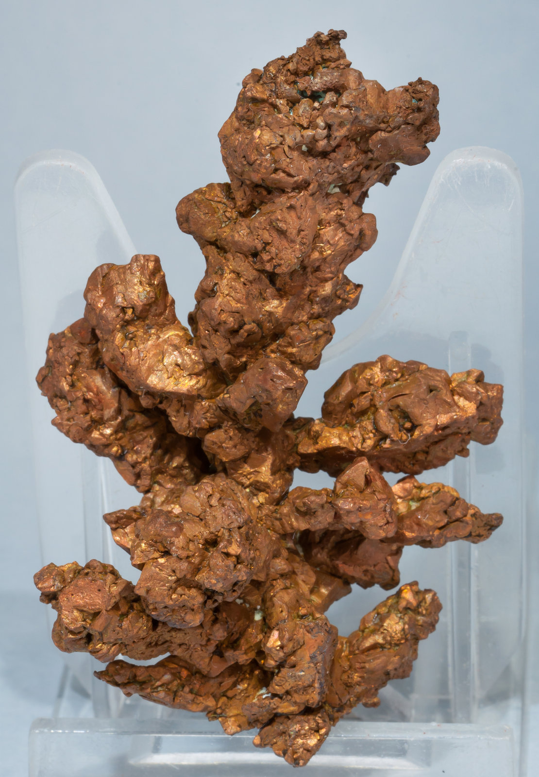 specimens/s_imagesAE8/Copper-TE27AE8f.jpg