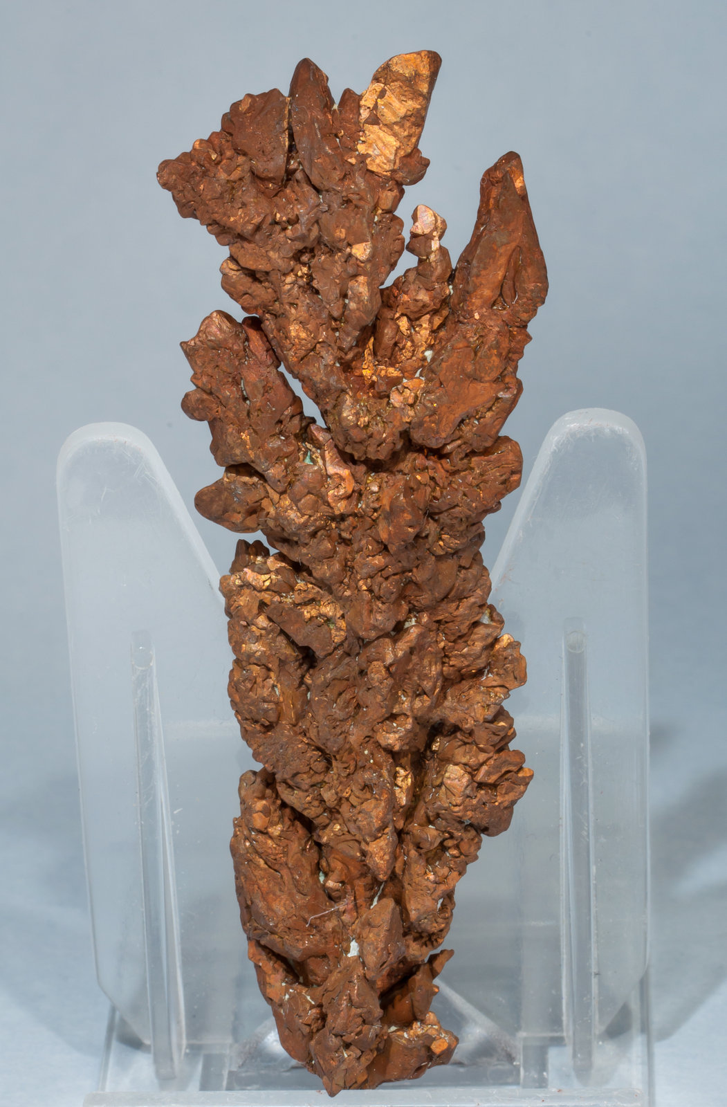 specimens/s_imagesAE8/Copper-TL27AE8f.jpg