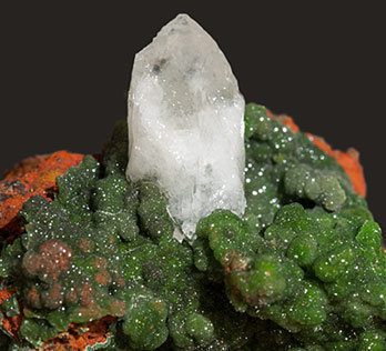 Austinite (variety cuprian) with Calcite. 