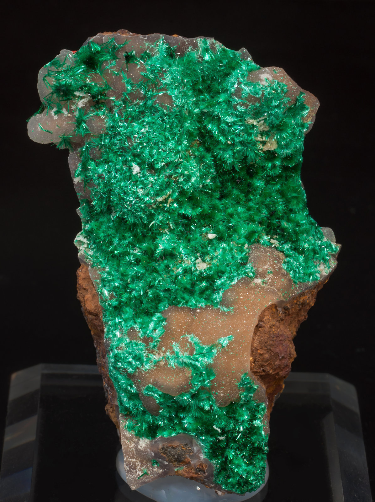specimens/s_imagesAF0/Brochantite-MV56AF0f.jpg