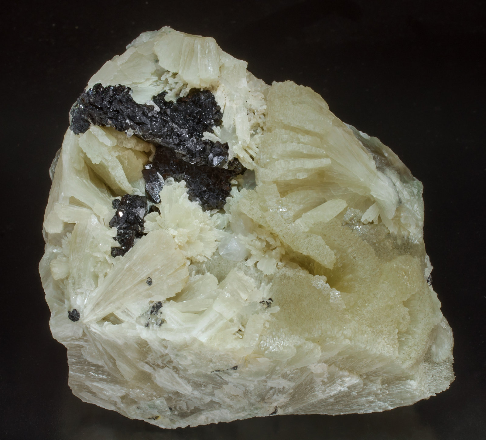 specimens/s_imagesAF3/Hematite-MH66AF3f.jpg