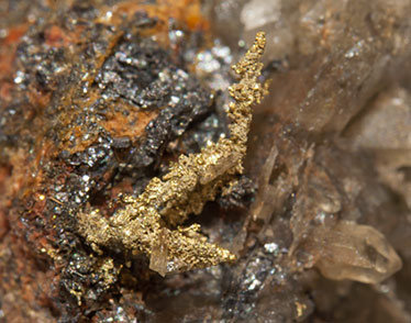 Oro (variedad electrum) con Eritrita. 