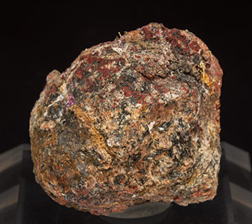 Gold (electrum variety) with Erythrite. Rear