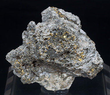 Gold with Quartz (variety chalcedony).