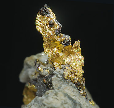 Gold with Sphalerite. 