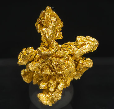 Oro. Vista posterior