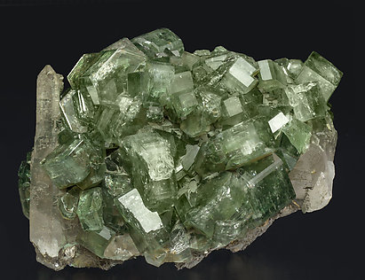 Fluorapatite with Quartz, Arsenopyrite, Muscovite and Chlorite. 