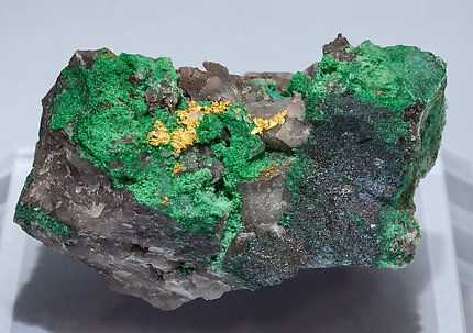 Gold with Malachite and Covellite.