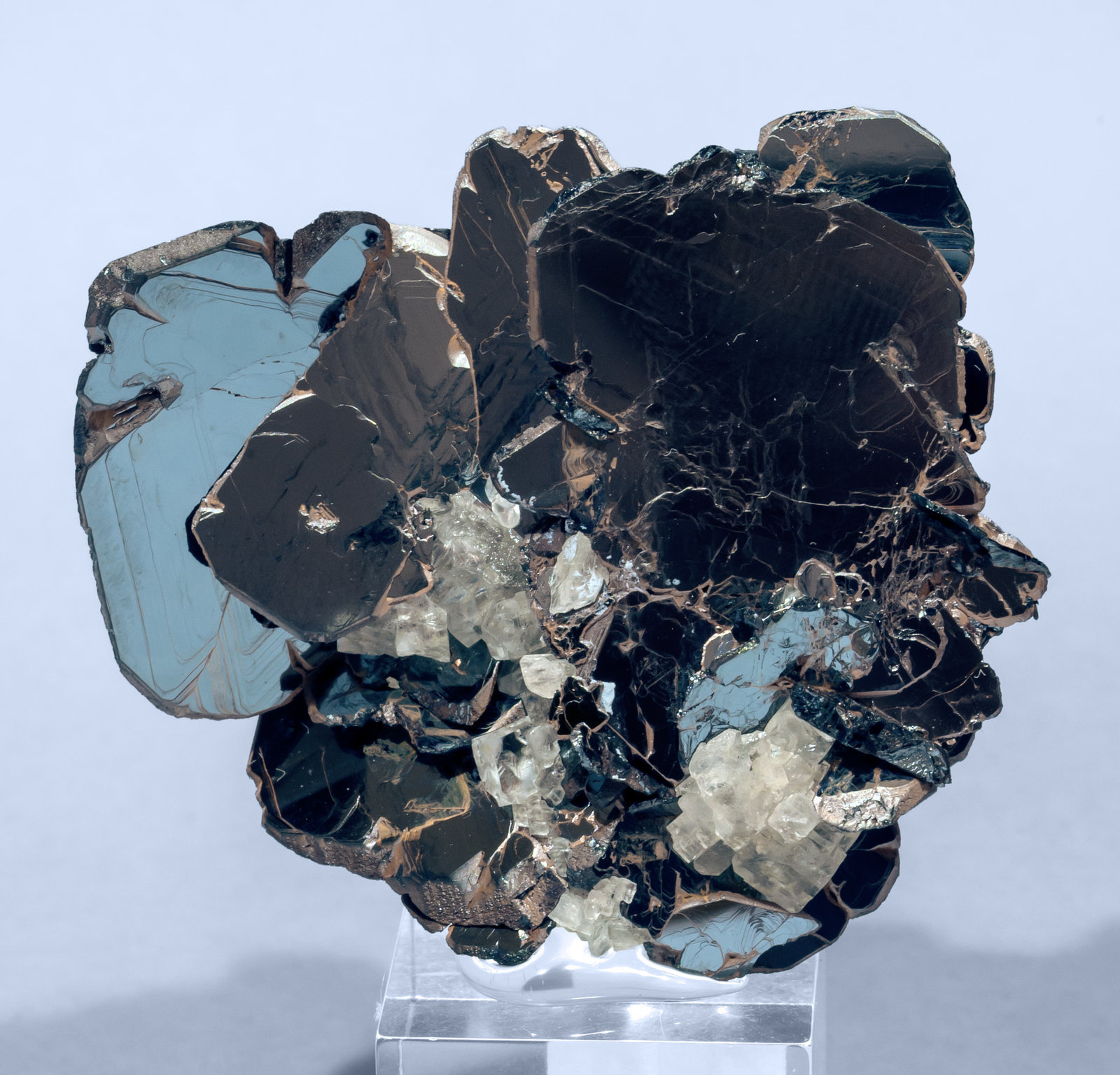 specimens/s_imagesAI3/Hematite-NH66AI3f.jpg