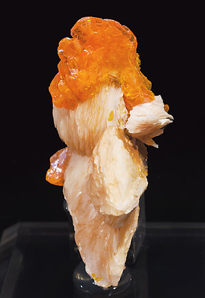 Wulfenite with Baryte. Front