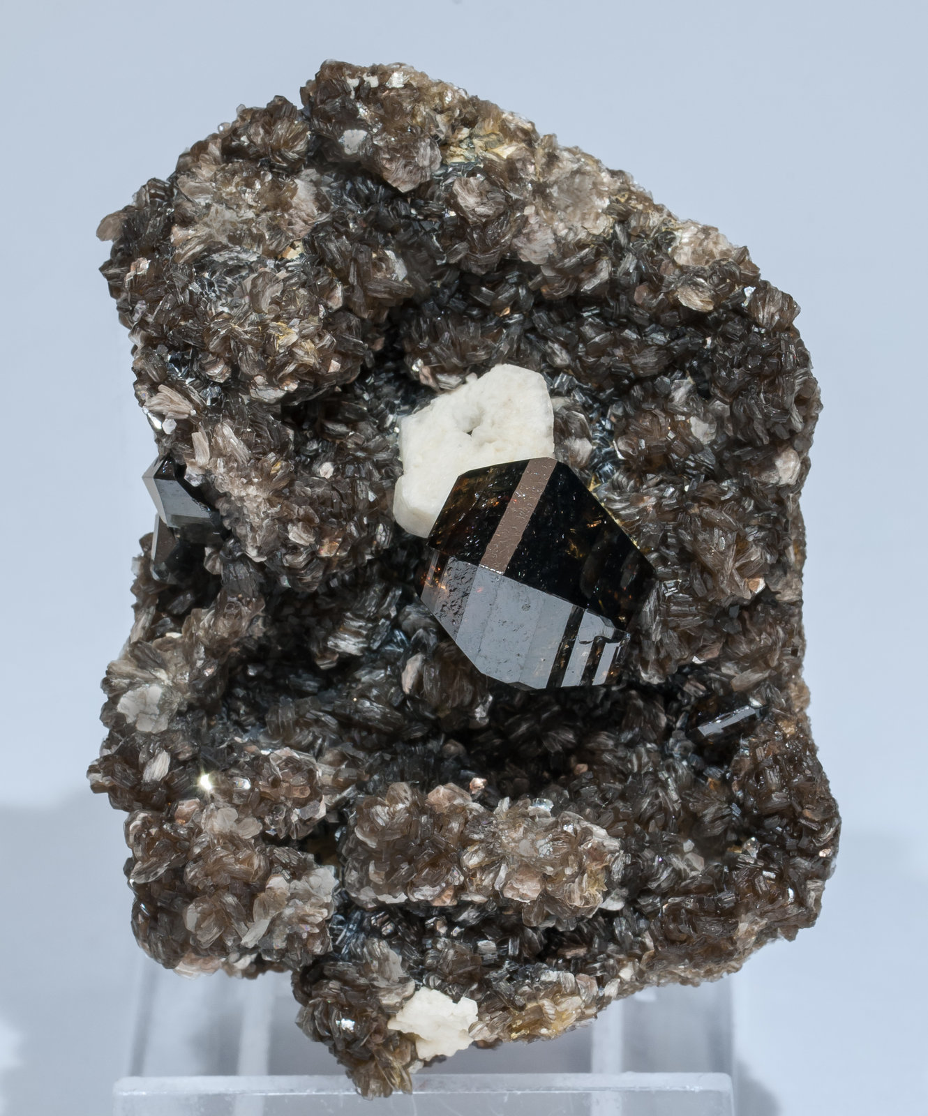 specimens/s_imagesAI8/Cassiterite-EH93AI8f.jpg