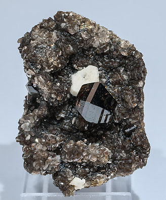 Cassiterite with Feldspar and Muscovite. Front