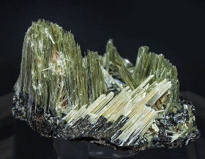 Actinolite with Ferro-actinolite. Rear