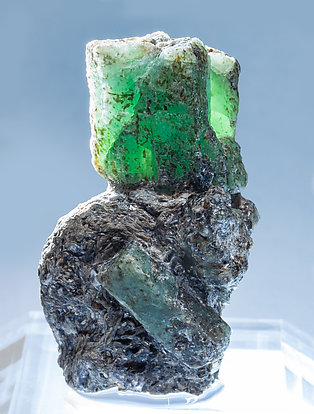 Beryl (variety emerald) with Phlogopite. Light behind
