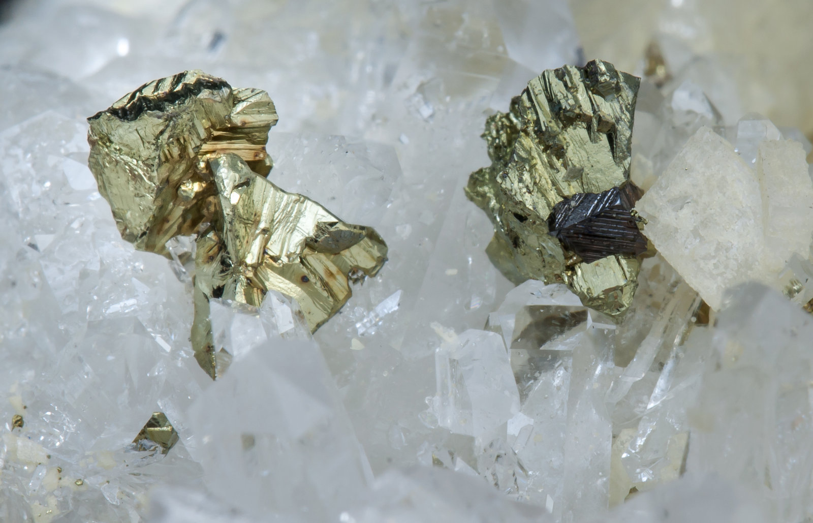 specimens/s_imagesAJ7/Chalcopyrite-NA14AJ7d.jpg