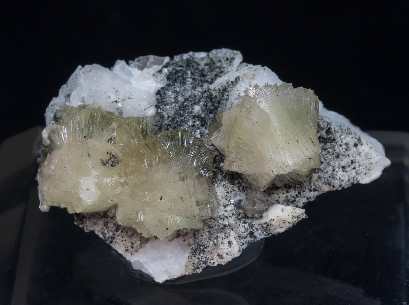 specimens/s_imagesAJ8/Bavenite-NH97AJ8f.jpg