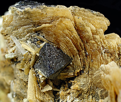 Roweite with Olshanskyite, Magnetite and Andradite. 