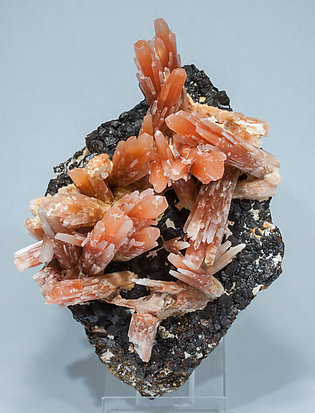 Quartz (variety red quartz) with Magnetite. Front