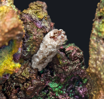 Cerussite after Anglesite with Goethite. 