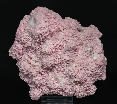 Rhodochrosite with Baryte and Dolomite. 