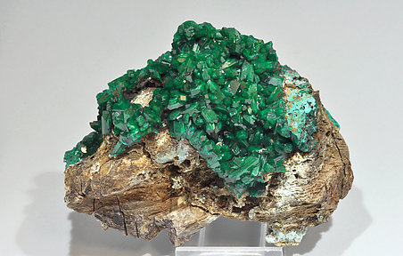 Dioptase with Chrysocolla.